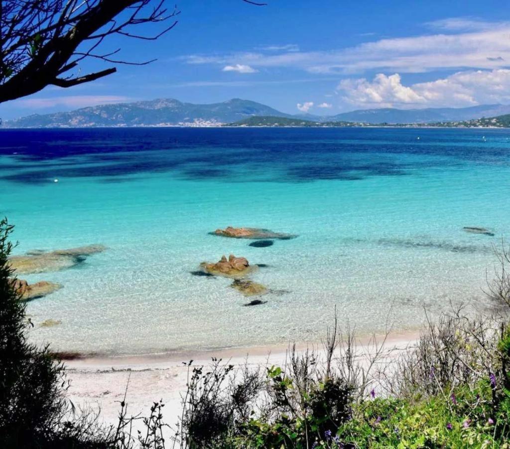 Nouveaute! Magnifique Villa A 2 Minutes Des Plus Belles Plages De La Rive Sud Porticcio  Extérieur photo